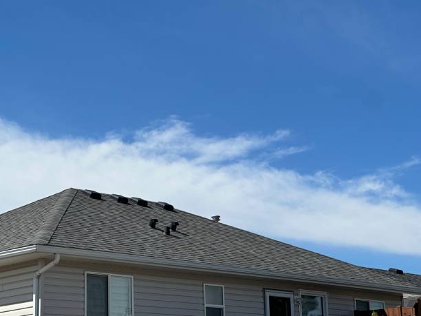 Best Chimney Flashing Repair  in Columbia, KY